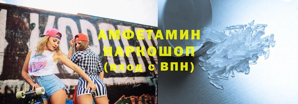 гидра Бородино