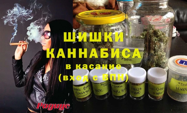 молекула духа Бронницы