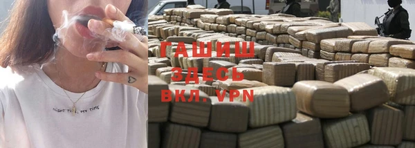 гидра Бородино