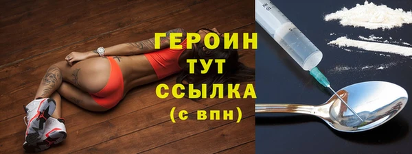 гидра Бородино