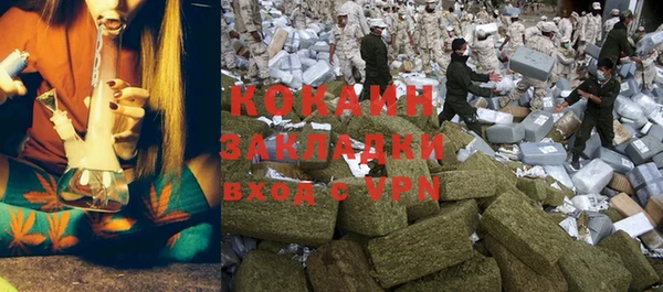гидра Бородино