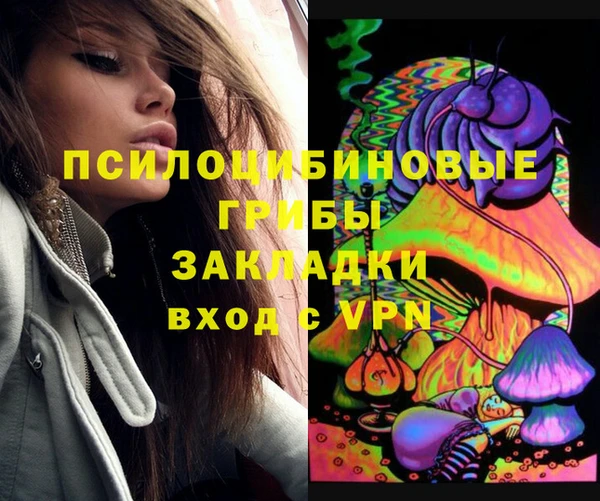 гидра Бородино