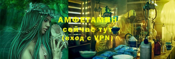 гидра Бородино