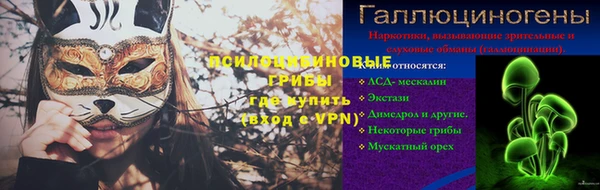 молекула духа Бронницы