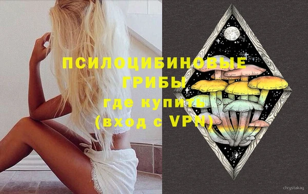 гидра Бородино