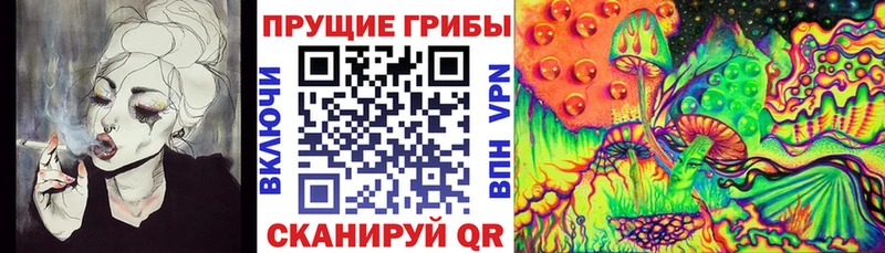 сколько стоит  Полтавская  Галлюциногенные грибы Psilocybine cubensis 